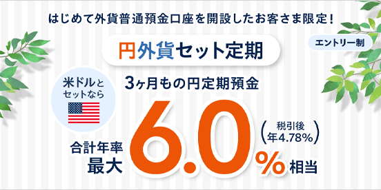 はじめて外貨普通預金口座を開設したお客さま限定！円外貨セット定期