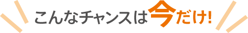 こんなチャンスは今だけ!