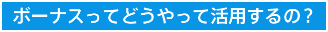 ボーナスってどうやって活用するの?