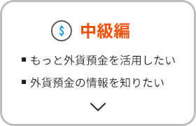 中級編