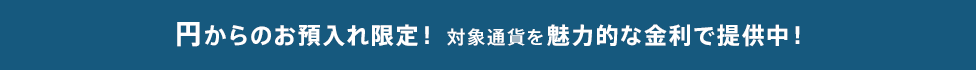 円からのお預入れ限定!対象通貨を魅力的な金利で提供中!