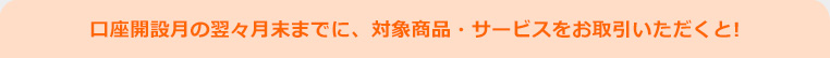口座開設月の翌々月末までに、対象商品・サービスをお取引いただくと! 口座開設月の翌々月末までに、対象商品・サービスをお取引いただくと!