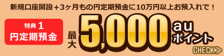 特典1 円定期預金 新規口座開設+3ヶ月もの円定期預金に10万円以上お預入れで! 最大5,000auポイント 特典1 円定期預金 新規口座開設+3ヶ月もの円定期預金に10万円以上お預入れで! 最大5,000auポイント