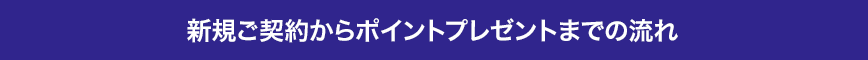 新規ご契約からポイントプレゼントまでの流れ