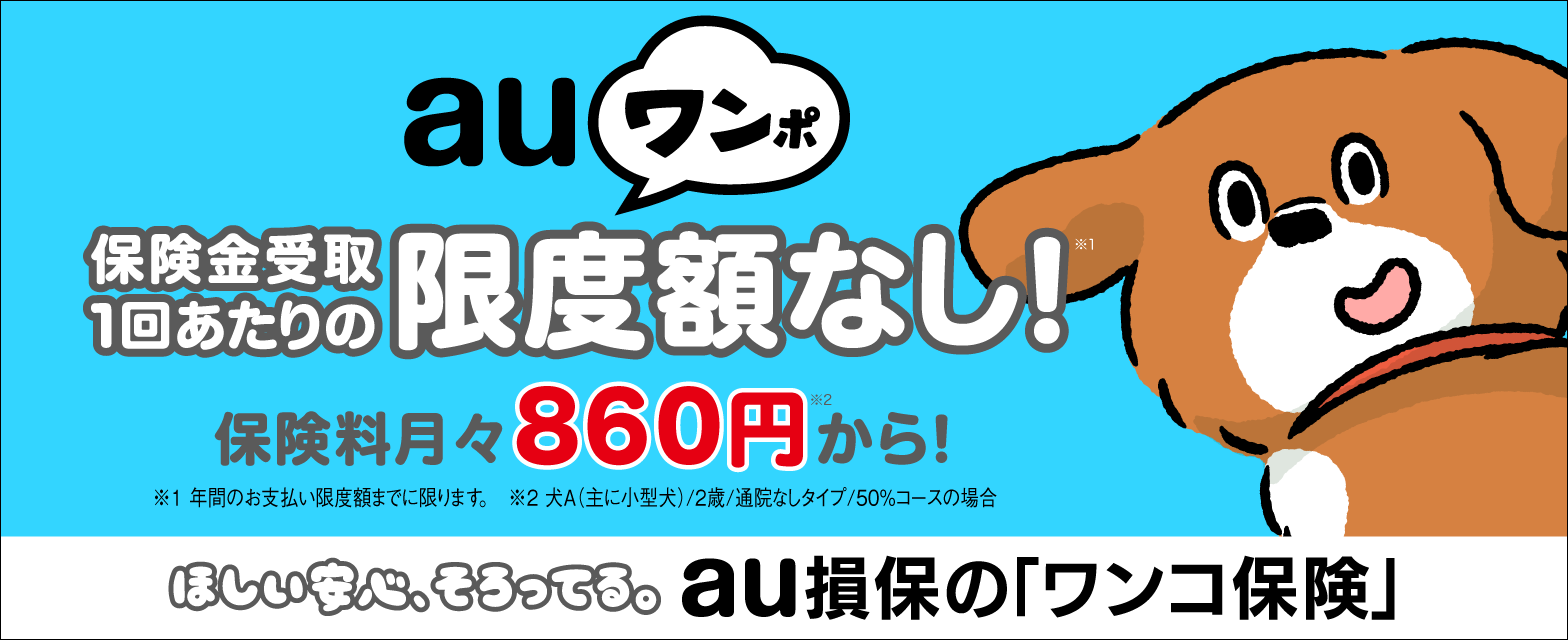 au損保の「ワンコ保険」
